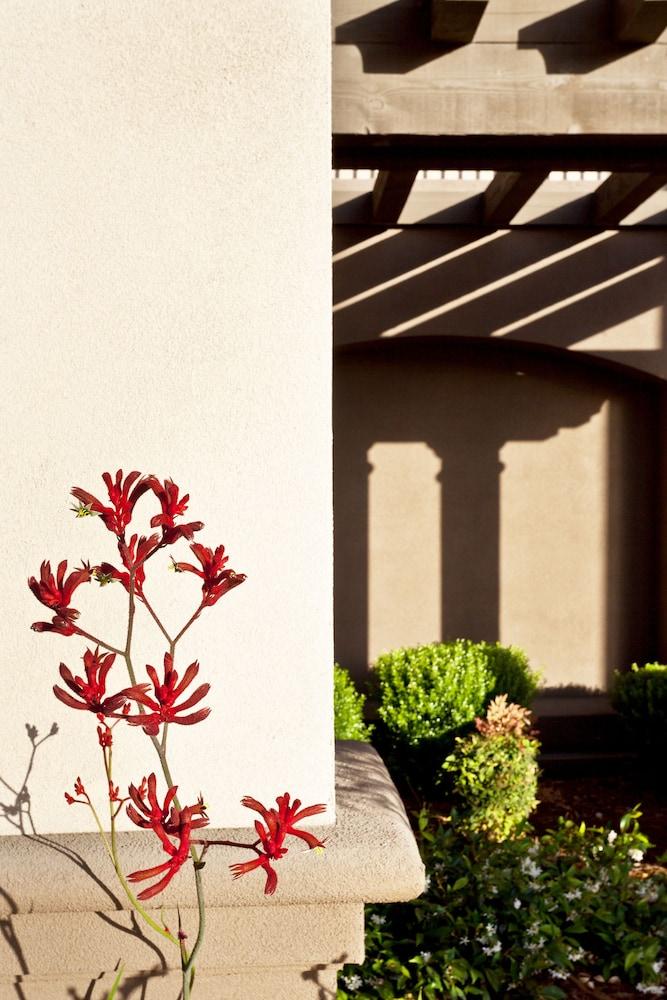 Hampton Inn & Suites Arroyo Grande Kültér fotó